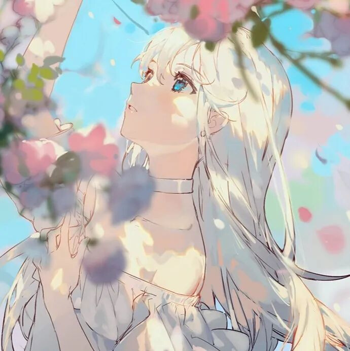 洛希 · 深夜电台